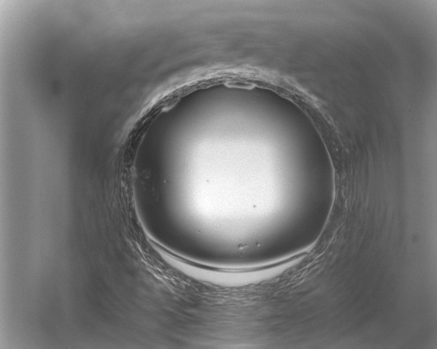 X0000059831496200510211159