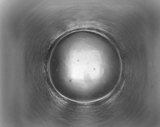 X0000059831497200510211159