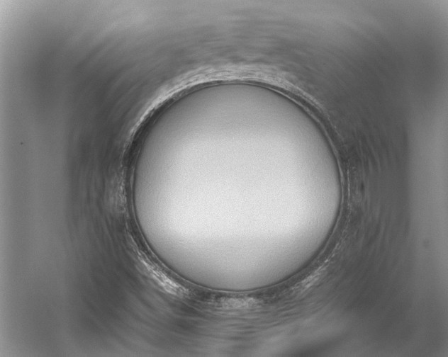 X0000059831498200510211159