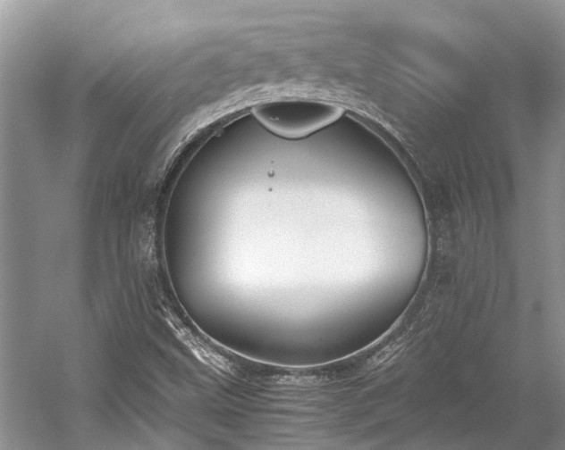 X0000059831499200510211159