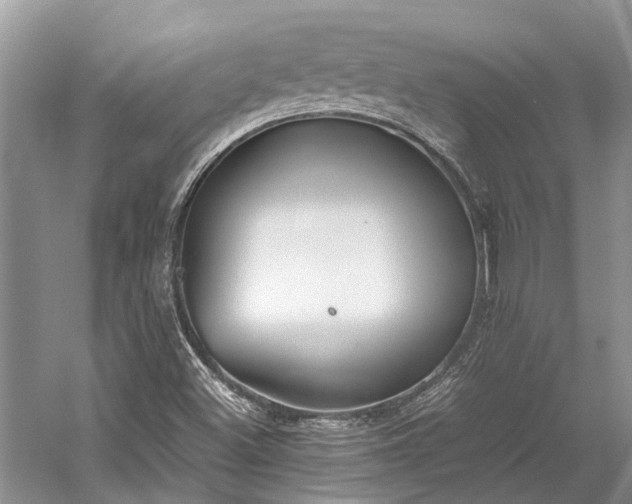 X0000059831500200510211159