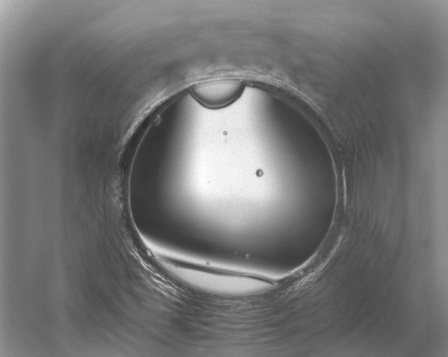 X0000059831501200510211159