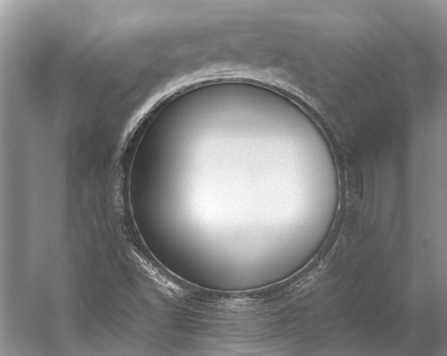 X0000059831502200510211159