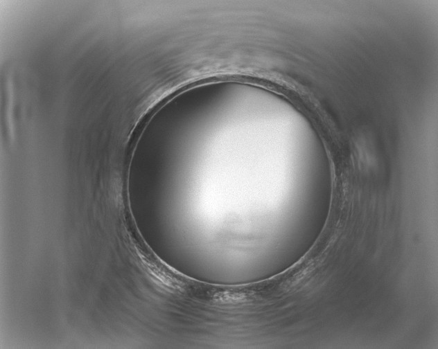 X0000059831505200510211159