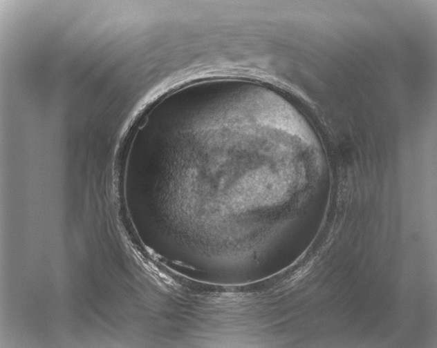 X0000059831506200510211159