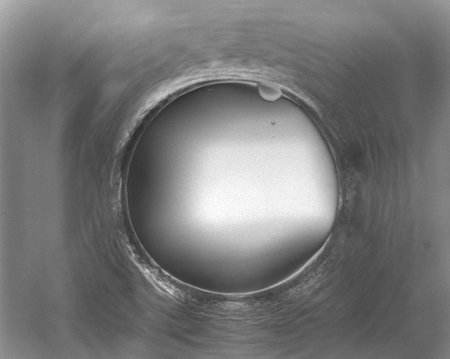 X0000059831507200510211159