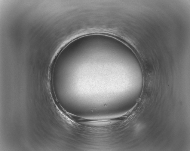 X0000059831508200510211159