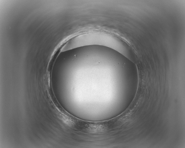 X0000059831509200510211159