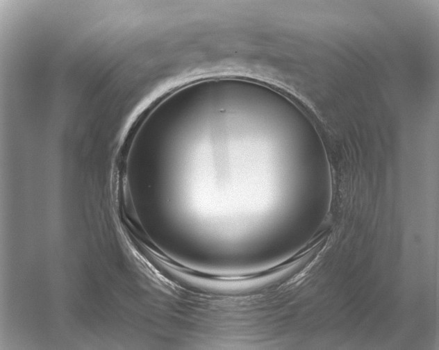 X0000059831510200510211159