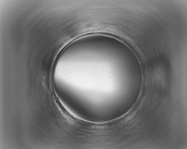 X0000059831513200510211159