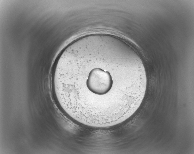 X0000059831514200510211159