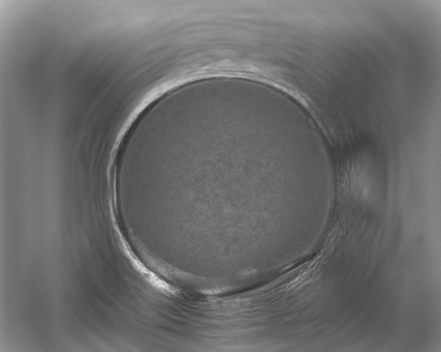 X0000059831515200510211159