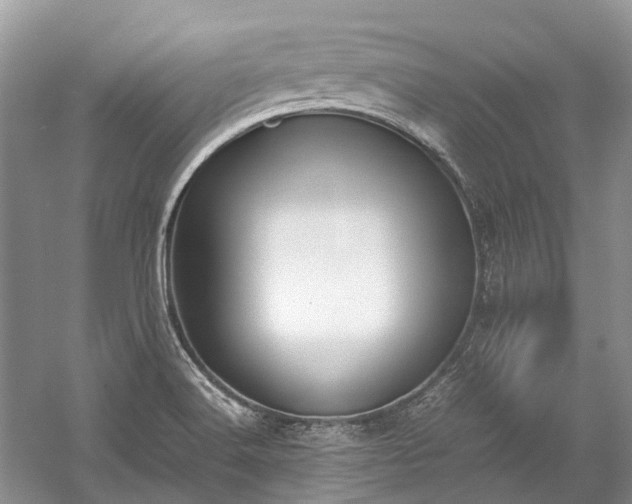 X0000059831516200510211159