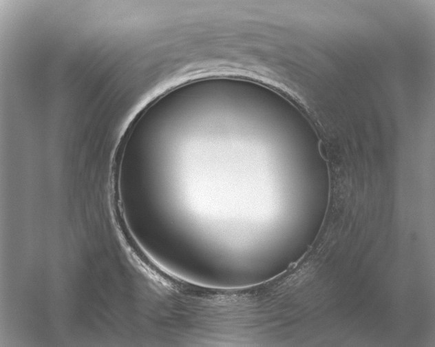 X0000059831518200510211159