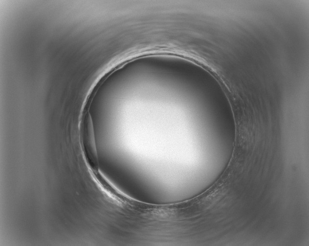 X0000059831519200510211159