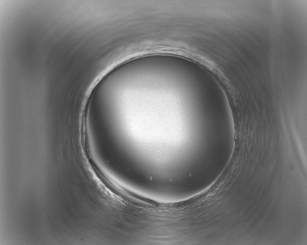 X0000059831520200510211159