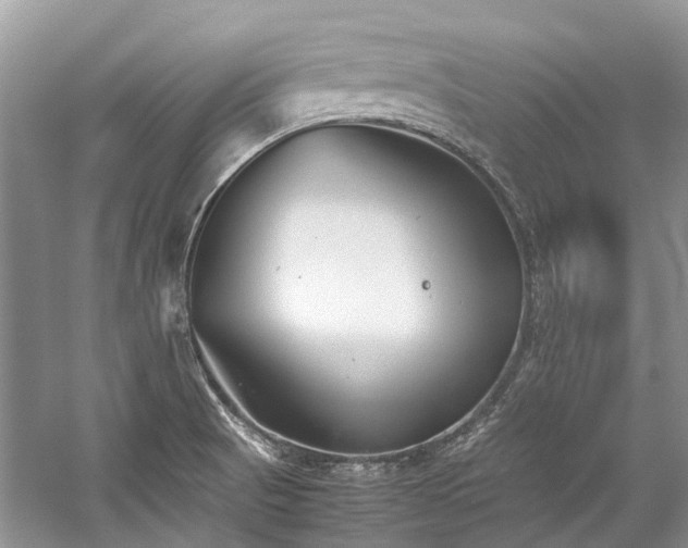 X0000059831521200510211159