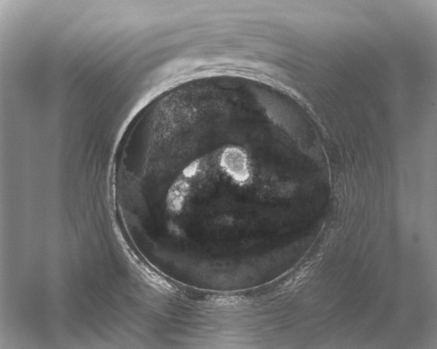 X0000059831522200510211159