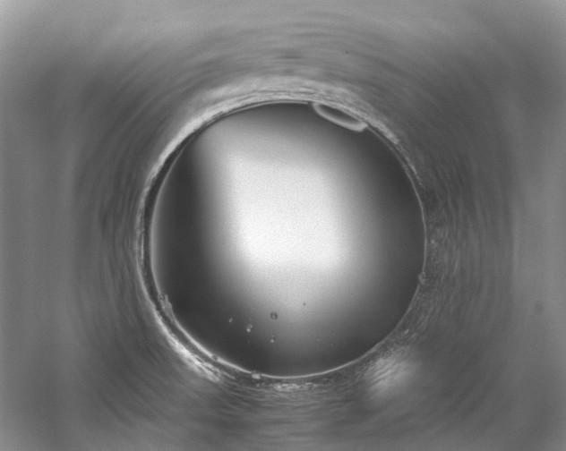 X0000059831523200510211159