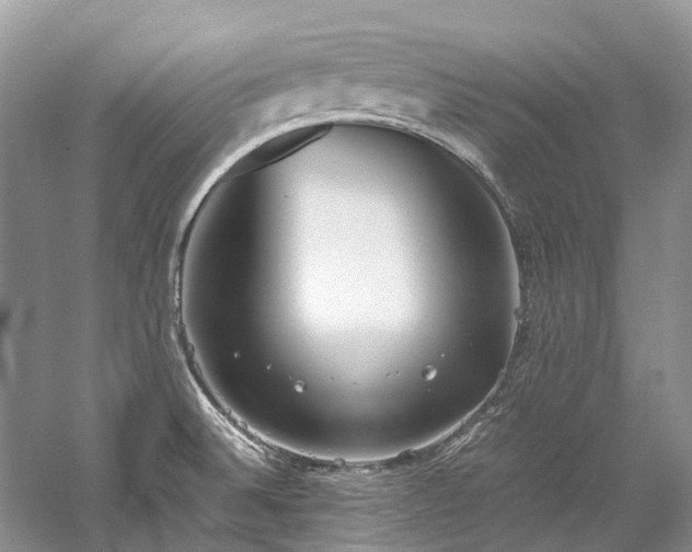 X0000059831524200510211159