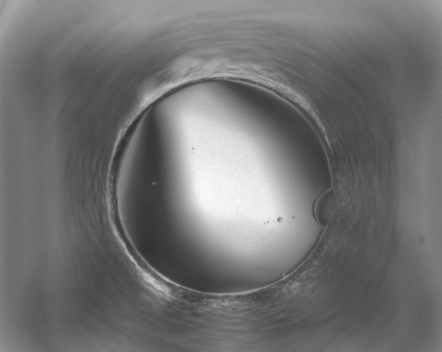 X0000059831525200510211159