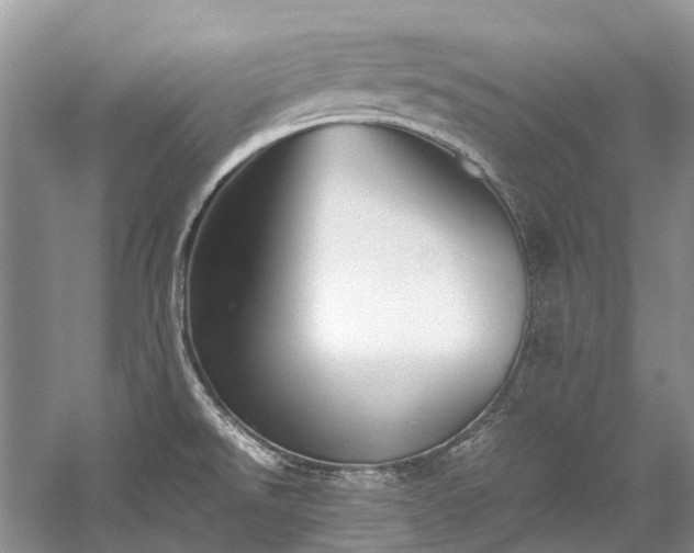 X0000059831526200510211159