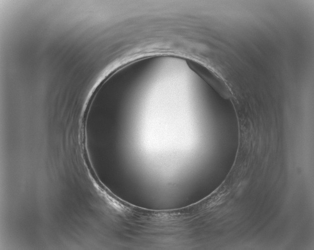 X0000059831527200510211159