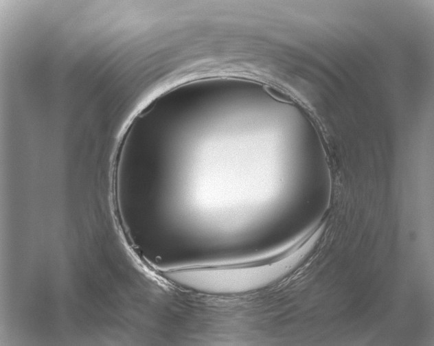 X0000059831528200510211159