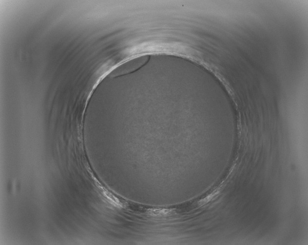 X0000059831529200510211159