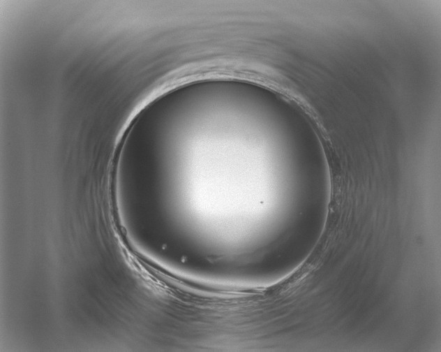 X0000059831530200510211200