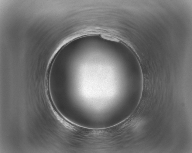 X0000059831531200510211200