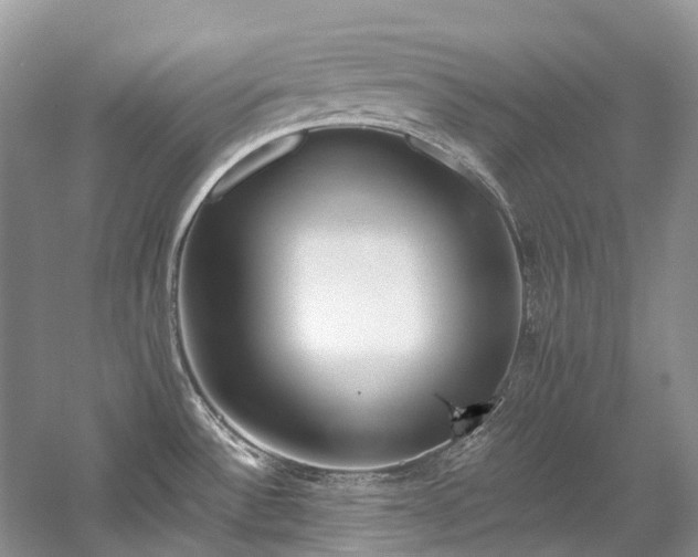 X0000059831532200510211200