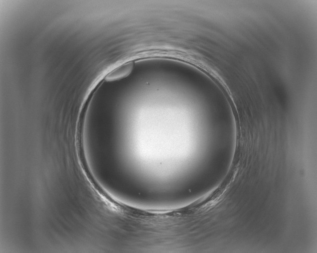 X0000059831533200510211200