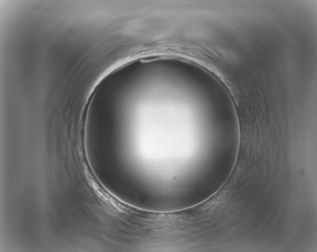 X0000059831534200510211200