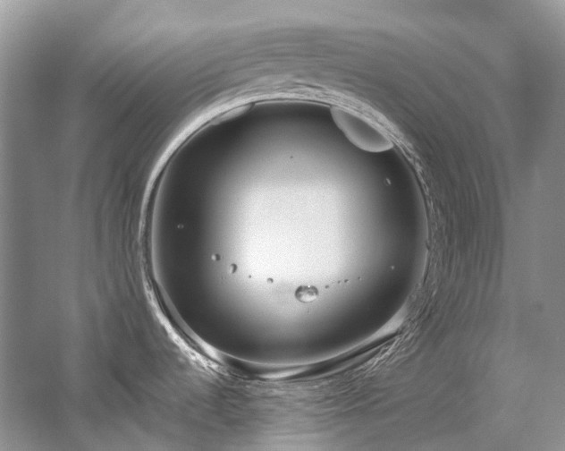 X0000059831536200510211200