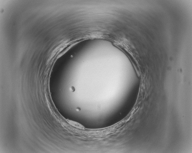 X0000059830001200510241433