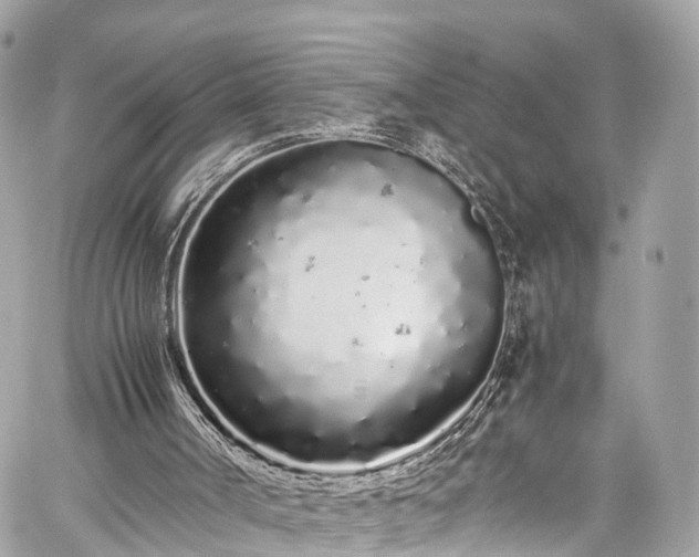 X0000059830002200510241433