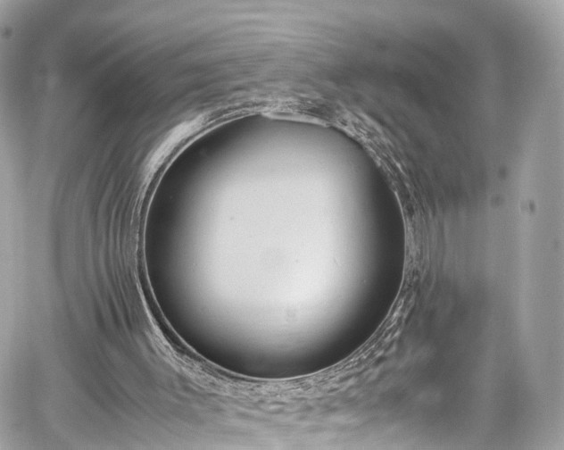 X0000059830003200510241433