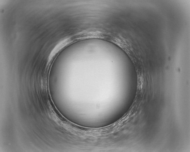 X0000059830004200510241433