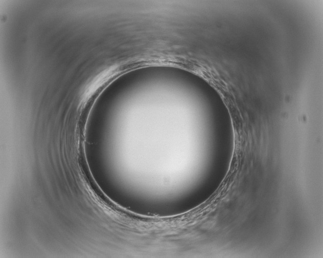 X0000059830005200510241433