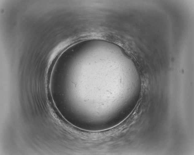 X0000059830006200510241433