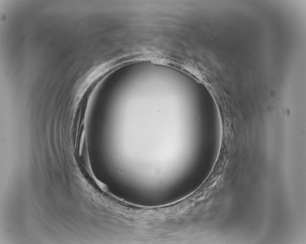 X0000059830007200510241433