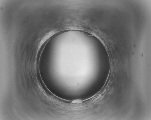 X0000059830008200510241433