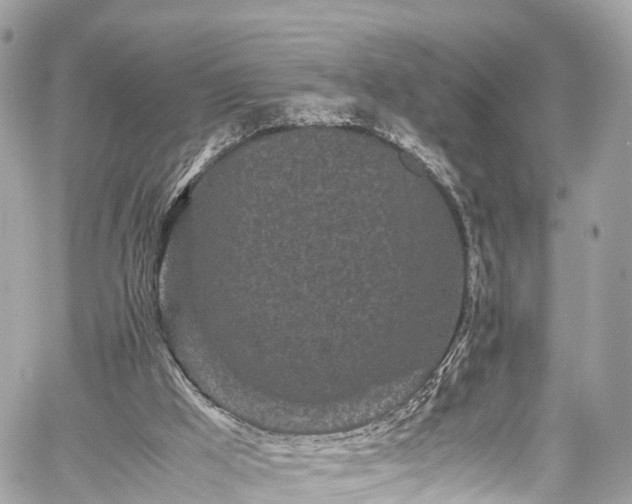 X0000059830009200510241433