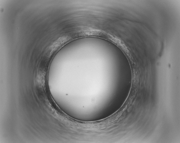 X0000059830010200510241433