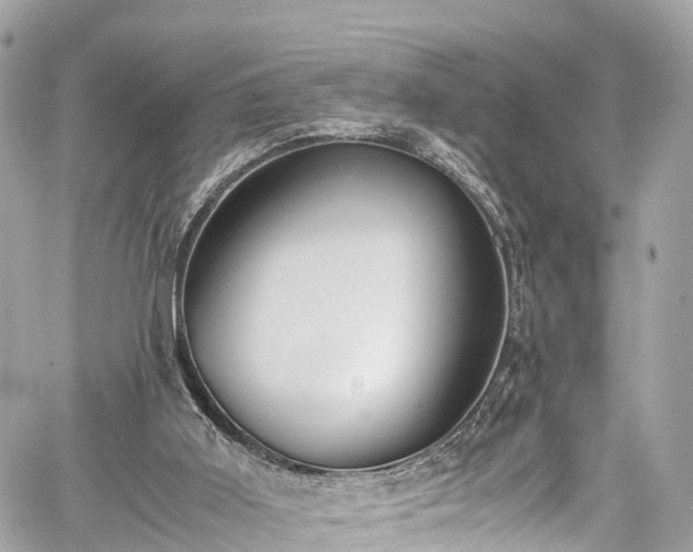 X0000059830011200510241433