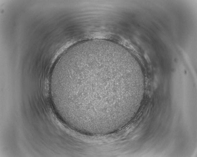 X0000059830012200510241433