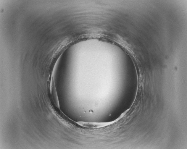 X0000059830013200510241433