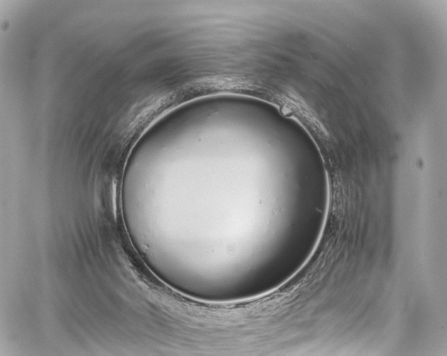 X0000059830014200510241432