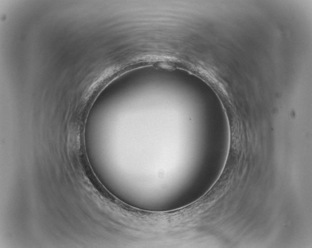 X0000059830015200510241432